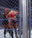 JANUARY_17TH_mp4_000975600.jpg