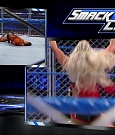 JANUARY_17TH_mp4_001303866.jpg
