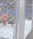 JANUARY_17TH_mp4_001311866.jpg