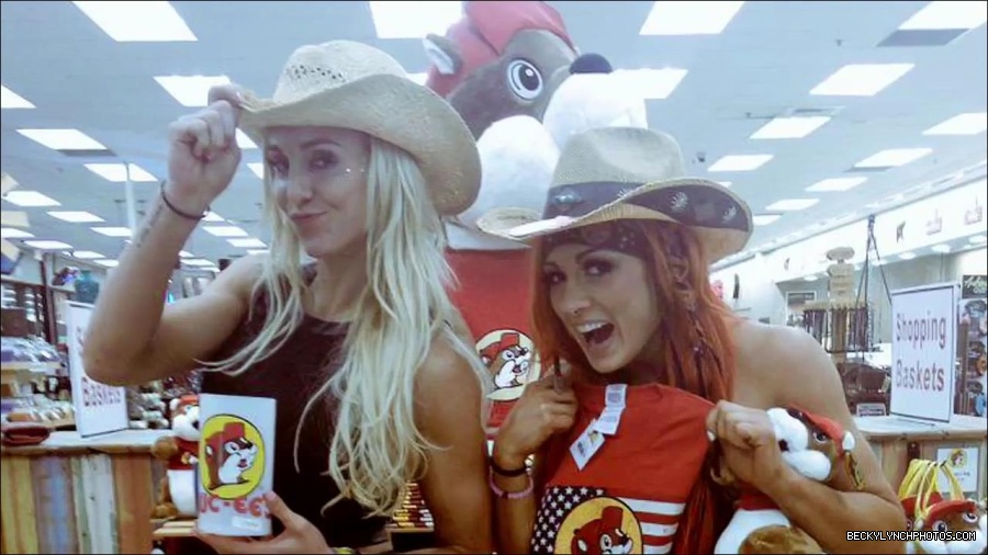 Y2Mate_is_-_Is_it_Becky_Lynch27s_time_or_is_Charlotte_the_superior_Diva_Royal_Rumble_2016-o7dWZGjBe-w-720p-1655735644729_mp4_000077544.jpg