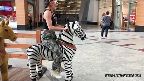 2018-05-12_12_58_27_1777779442347490286_448900764_mp4_000001346.jpg