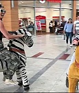 2018-05-12_12_58_27_1777779442347490286_448900764_mp4_000004146.jpg