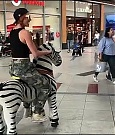 2018-05-12_12_58_27_1777779442347490286_448900764_mp4_000006546.jpg