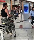 2018-05-12_12_58_27_1777779442347490286_448900764_mp4_000007346.jpg