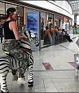 2018-05-12_12_58_27_1777779442347490286_448900764_mp4_000008946.jpg