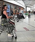 Filename=2018-05-12_12_58_27_1777779442347490286_448900764_mp4_000009746.jpg
Filesize=66KiB
Dimensions=480x270
Date added=Jun 30, 2022 2018-05-12_12_58_27_1777779442347490286_448900764_mp4_000009746.jpg