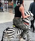 2018-05-12_12_58_27_1777779442347490286_448900764_mp4_000045746.jpg