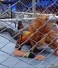 Filename=WWE_Survivor_Series_WarGames_2022_720p_WEB_h264-HEEL_mp4_002610991.jpg
Filesize=337KiB
Dimensions=1280x720
Date added=Nov 27, 2022 WWE_Survivor_Series_WarGames_2022_720p_WEB_h264-HEEL_mp4_002610991.jpg