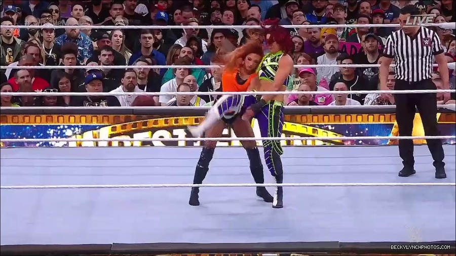 WWE_WrestleMania_39_Saturday_720p_WEB_h264-HEEL_mp4_006169920.jpg