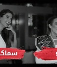 wwealan_lynchrapidfire_768x432_mp4_000078133.jpg