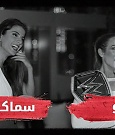 wwealan_lynchrapidfire_768x432_mp4_000079400.jpg