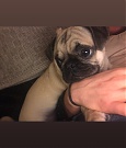 2018-02-07_21_51_08_1709949364503091978_448900764.jpg