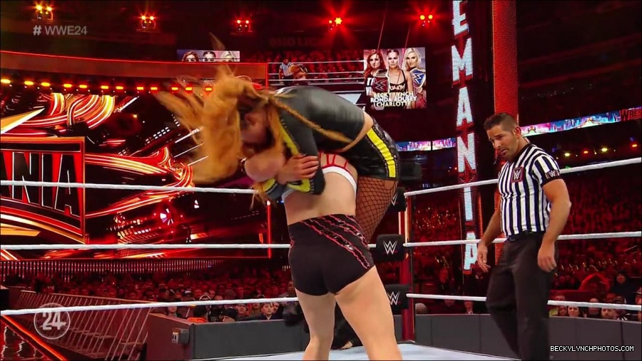 WresleMania_New_York_mp4_002968633.jpg