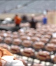 WresleMania_New_York_mp4_003101033.jpg