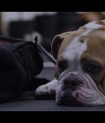 Filename=Becky_Lynch_mp4_000670100.jpg
Filesize=124KiB
Dimensions=1280x720
Date added=Nov 21, 2021 Becky_Lynch_mp4_000670100.jpg