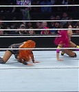 MARCH_3RD_mp4_000257700.jpg