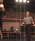 SHIMMER_03_107.jpg