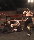 SHIMMER_03_540.jpg