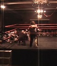 SHIMMER_03_556.jpg