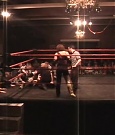 SHIMMER_03_557.jpg