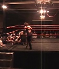 SHIMMER_03_559.jpg