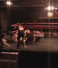 SHIMMER_03_560.jpg