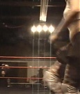 SHIMMER_04_0256.jpg
