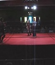 SHIMMER_05_0188.jpg
