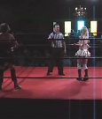SHIMMER_05_0215.jpg