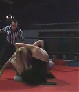SHIMMER_05_0319.jpg