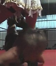 SHIMMER_05_0364.jpg