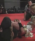 SHIMMER_05_0434.jpg