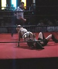 SHIMMER_05_0487.jpg