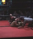 SHIMMER_05_0510.jpg