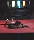 SHIMMER_05_0802.jpg