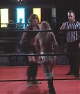 SHIMMER_05_0869.jpg