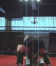 Filename=SHIMMER_05_0879.jpg
Filesize=45KiB
Dimensions=512x400
Date added=Dec 12, 2021 SHIMMER_05_0879.jpg