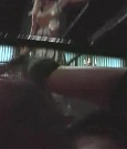 SHIMMER_05_1086.jpg