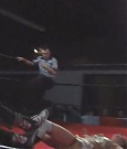 Filename=SHIMMER_05_1110.jpg
Filesize=28KiB
Dimensions=512x400
Date added=Dec 12, 2021 SHIMMER_05_1110.jpg