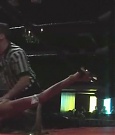 SHIMMER_05_1139.jpg