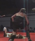 Filename=SHIMMER_05_1157.jpg
Filesize=32KiB
Dimensions=512x400
Date added=Dec 12, 2021 SHIMMER_05_1157.jpg