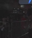 SHIMMER_06_0011.jpg