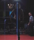 SHIMMER_06_0030.jpg