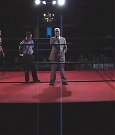 SHIMMER_06_0103.jpg
