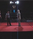SHIMMER_06_0105.jpg