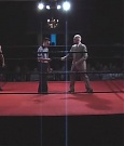 SHIMMER_06_0106.jpg