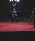 SHIMMER_06_0228.jpg