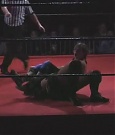 SHIMMER_06_0305.jpg