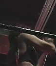 SHIMMER_06_0329.jpg