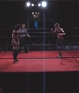 SHIMMER_06_0333.jpg